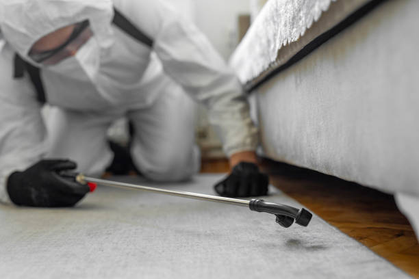 Professional Bed Bug Control technician working in Durham County County, NC